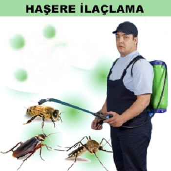 Çıldır Böcek İlaçlama
